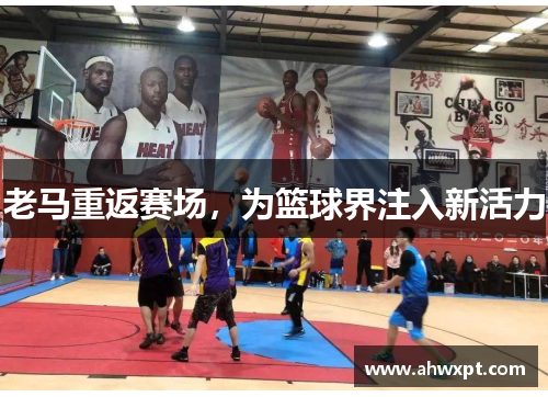 老马重返赛场，为篮球界注入新活力